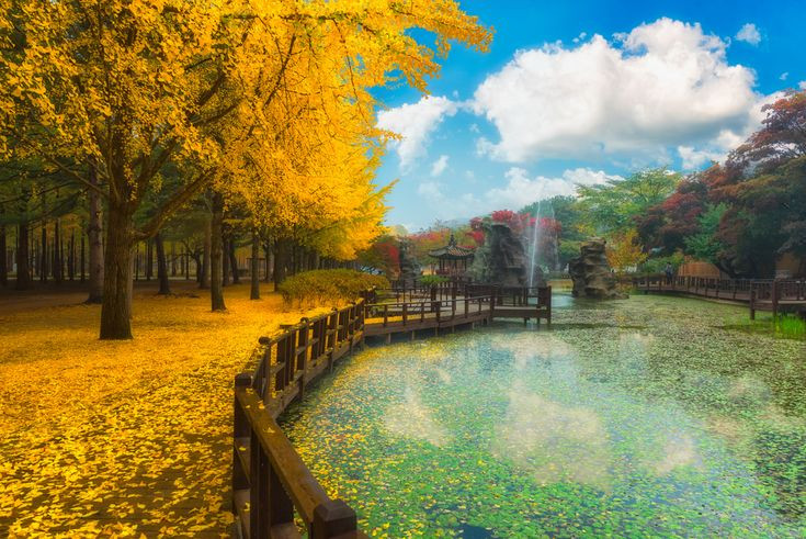 Du lịch Hàn Quốc - Đảo Nami xinh đẹp Du lịch Hàn Quốc - Đảo Nami xinh đẹp