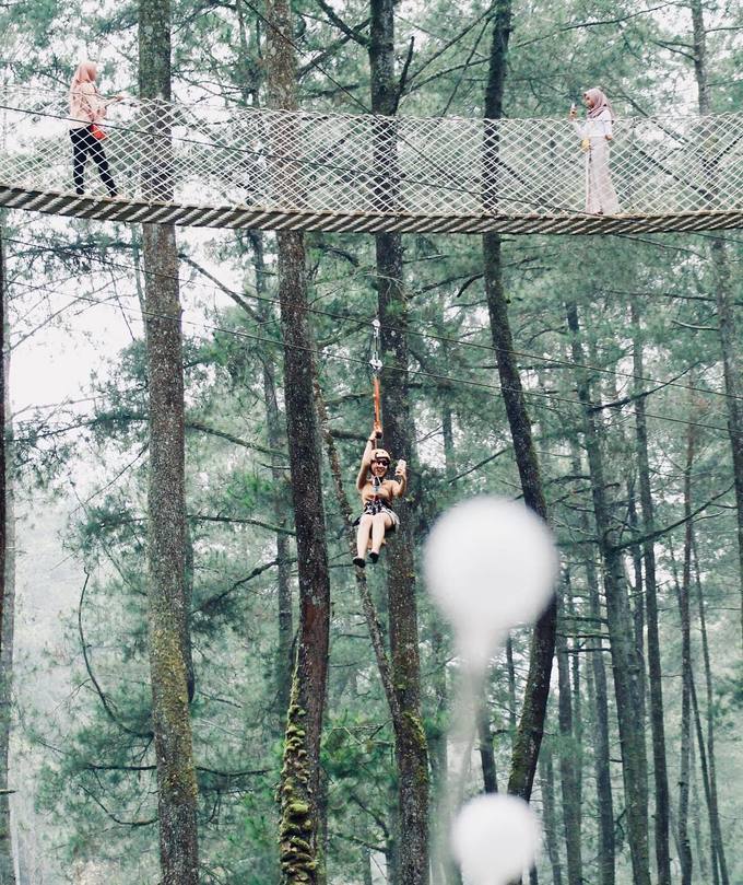 Các hoạt động ngoài trời như đu zipline xuyên rừng dành cho cả người lớn lẫn trẻ em, trang bị bảo hộ đầy đủ, hợp với người ưa mạo hiểm. Các hoạt động ngoài trời như đu zipline xuyên rừng dành cho cả người lớn lẫn trẻ em, trang bị bảo hộ đầy đủ, hợp với người ưa mạo hiểm.