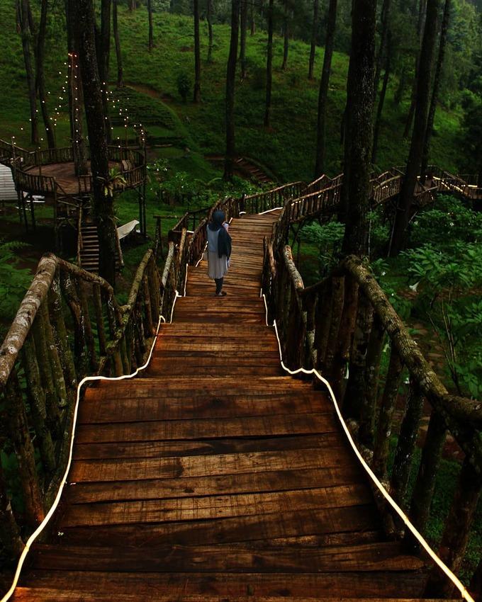 Vườn lan đẹp như cổ tích ở Indonesia