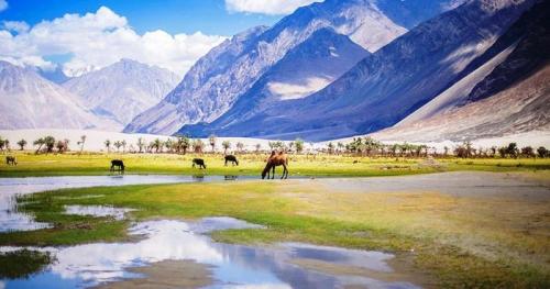 Sự Thú Vị Khi Du Lịch Đến Ladakh – Kashmir | Hành Trình Chạm Tới Thiên Đường Trên Dãy Himalaya