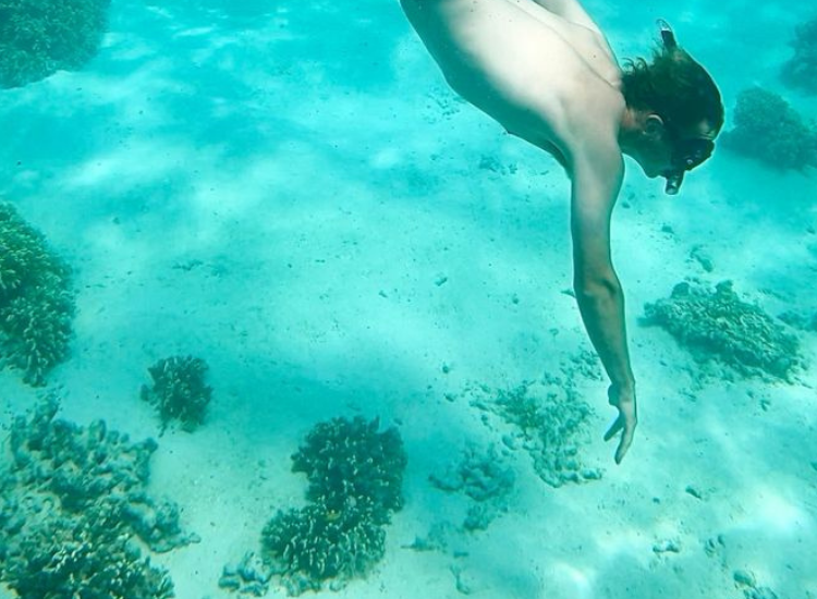Trải nghiệm snorkeling tại rạn san hô Ningaloo Reef Úc Du khách snorkeling khám phá hệ sinh thái rạn san hô Úc tại Ningaloo Reef Exmouth