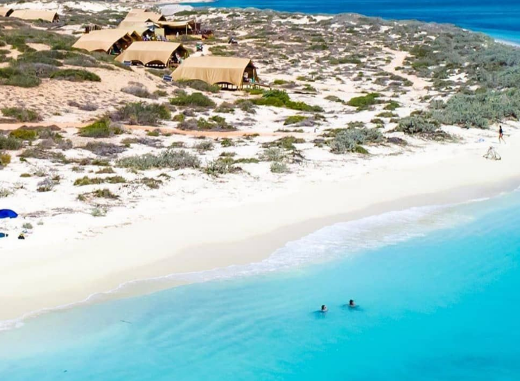 Du lịch Úc 2026: Thăm rạn san hô Ningaloo Reef