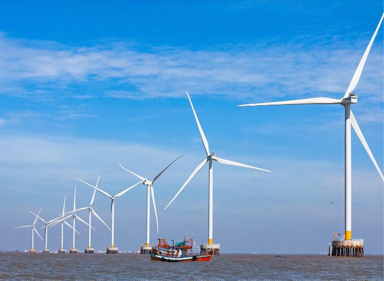 Cánh đồng điện gió Cà Mau nhìn từ xa Cánh đồng điện gió Cà Mau với turbine gió khổng lồ – điểm tham quan nổi tiếng
