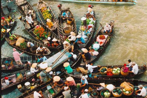Top 5 Khu Du Lịch Ở Cần Thơ Hấp Dẫn Nhất 2025 – Trải Nghiệm Đậm Chất Miền Tây
