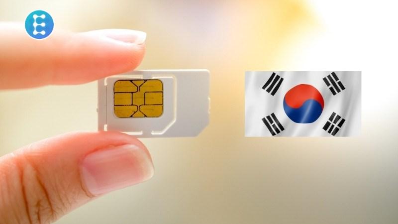 Hướng dẫn mua và sử dụng sim 4G, cục phát wifi khi đi Hàn Quốc