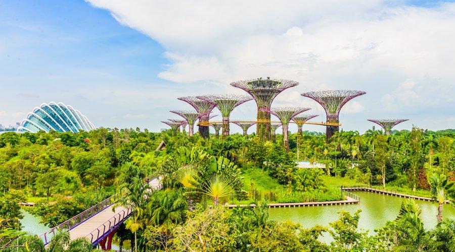 Gardens by the Bay