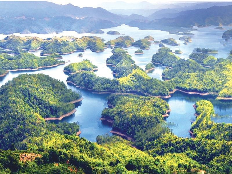 Sale tour Tà Đùng - Đà Lạt tour du lịch tết 2026 3