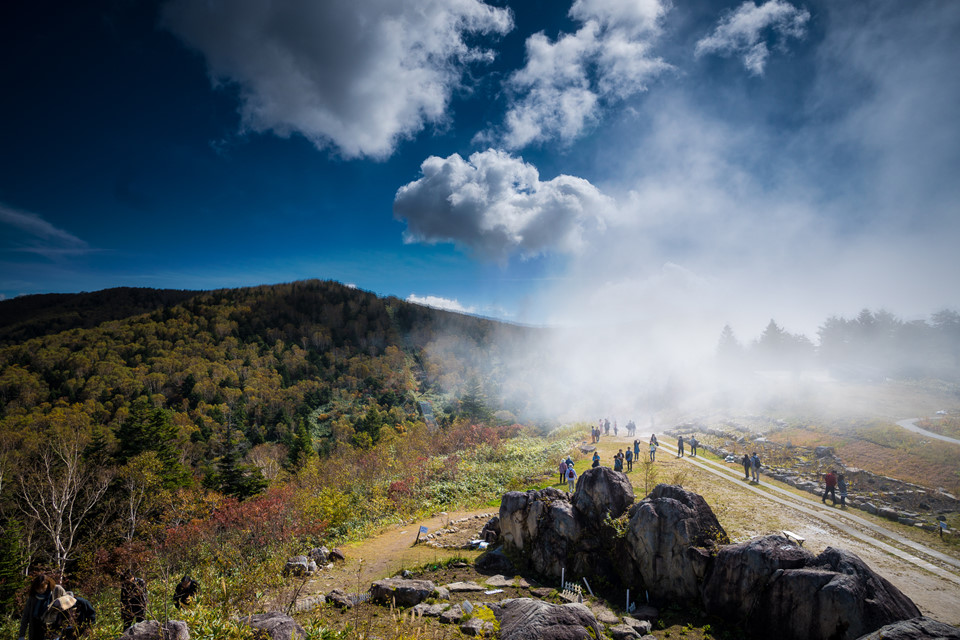 Mỗi mùa một vẻ, Nagano quanh năm đều toát lên nét đẹp độc đáo. Mùa xuân, trăm hoa đua nở. Vào hạ, bạn có thể dạo quanh các cao nguyên rộng mênh mông, chiêm ngưỡng những khu rừng xanh mát và tận hưởng không khí trong lành, mát mẻ.