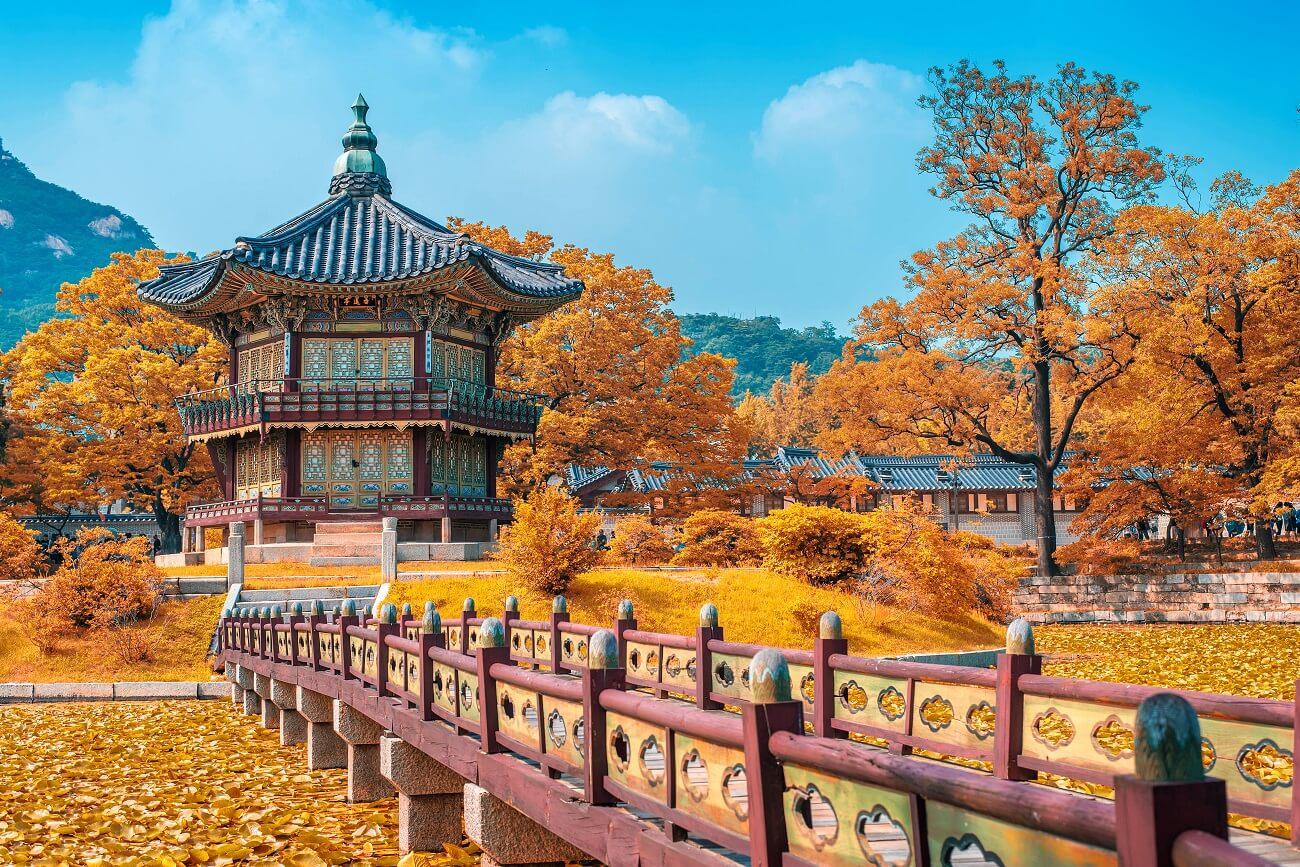 Nên Chọn Tour Seoul Hay Busan – Seoul?