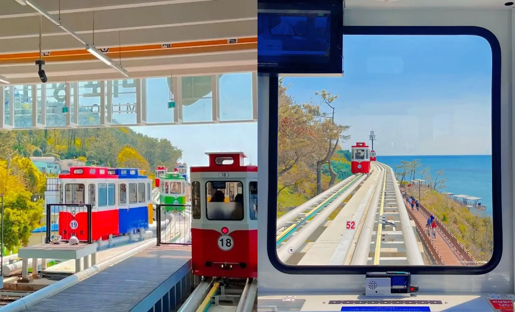 Haeundae Beach Train & Sky Capsule: Phân Biệt Khi Đặt
