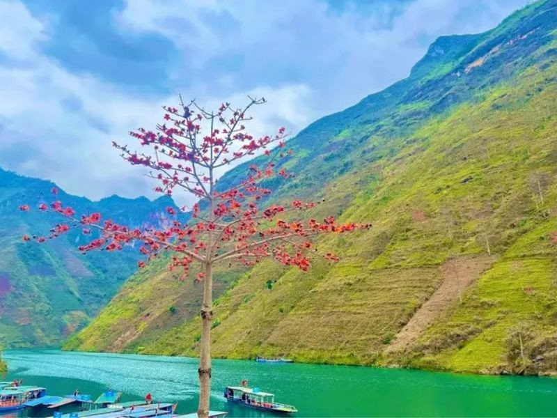 kinh-nghiem-du-lich-ha-giang-1