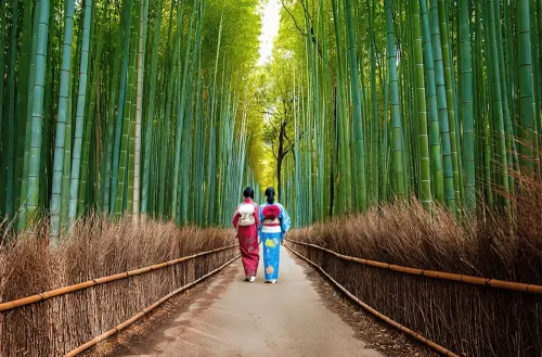 Rừng tre Arashiyama nhật bản