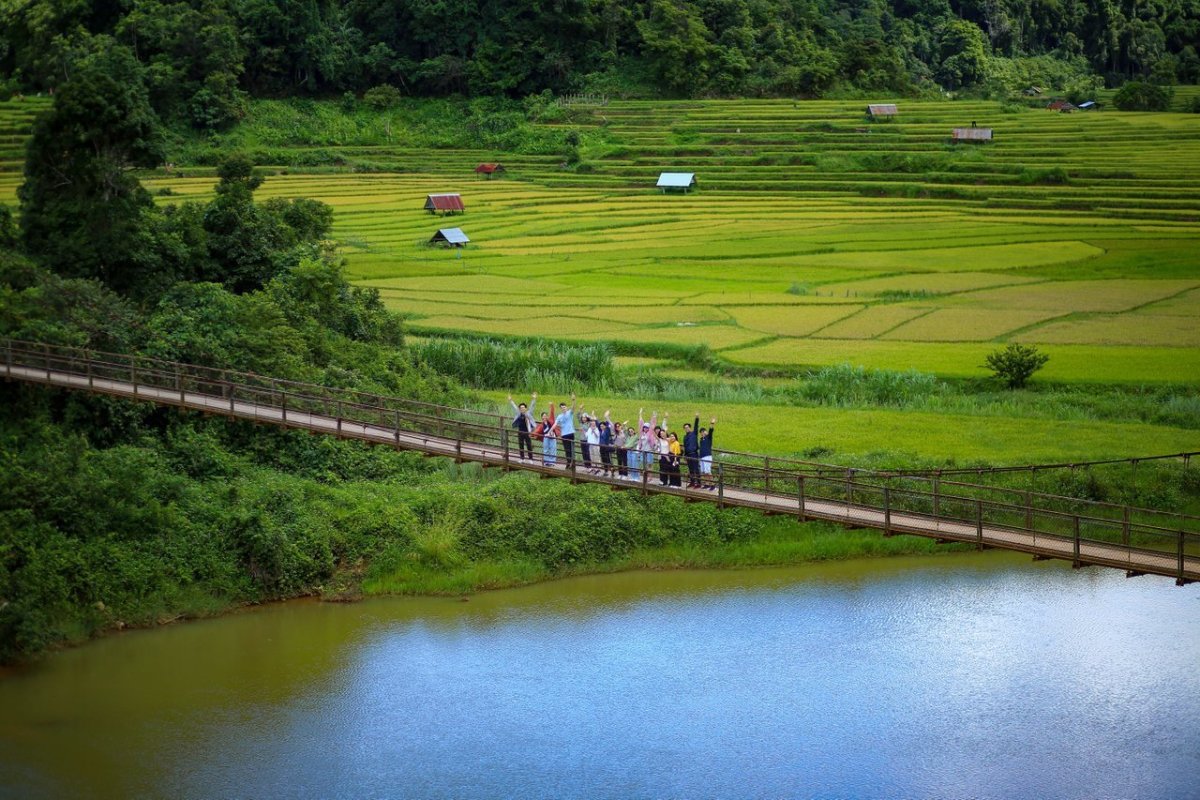 măng đen