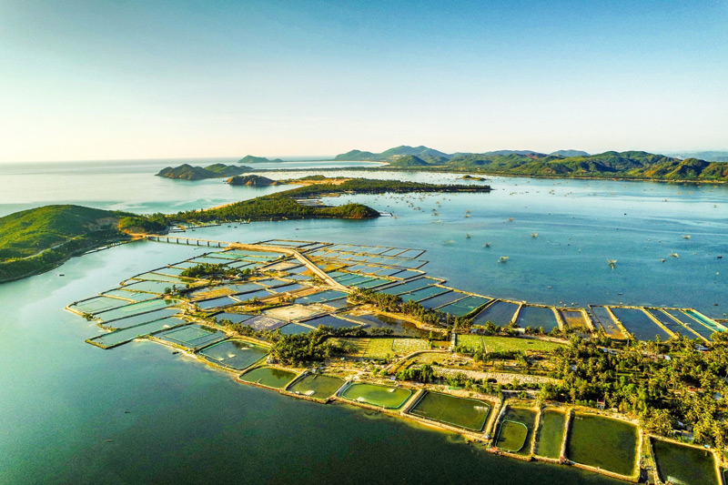 Kế Hoạch Tour Phú Yên 4 Ngày 3 Đêm-2