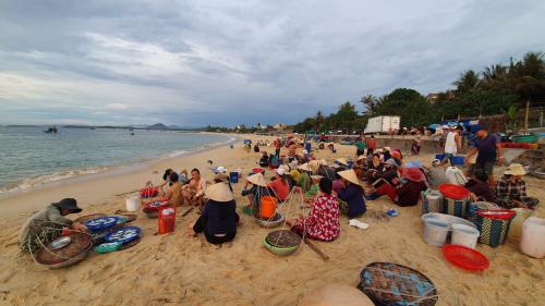 Tour Phú Yên Mua Gì Làm Quà? Top 5 Đặc Sản Tiêu Biểu 2026