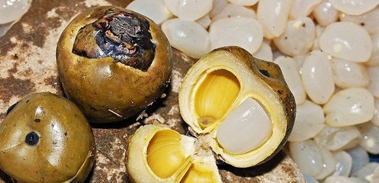 Đi Tour Phú Yên Mua Gì Làm Quà-2