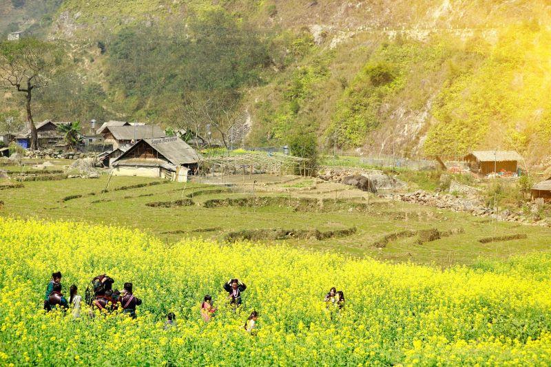 Tour Hà Giang Cho Người Già Và Trẻ Em: Thiết Kế Lịch Trình Ô Tô An Toàn