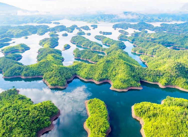 Top 5 Resort Gần Hồ Tà Đùng Đáng Trải Nghiệm Nhất 1