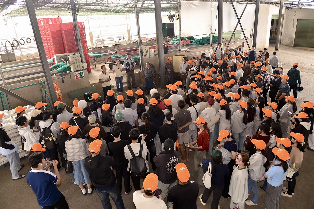 Sinh viên tìm hiểu quy trình sản xuất trà trong chuyến học tập thực tế.