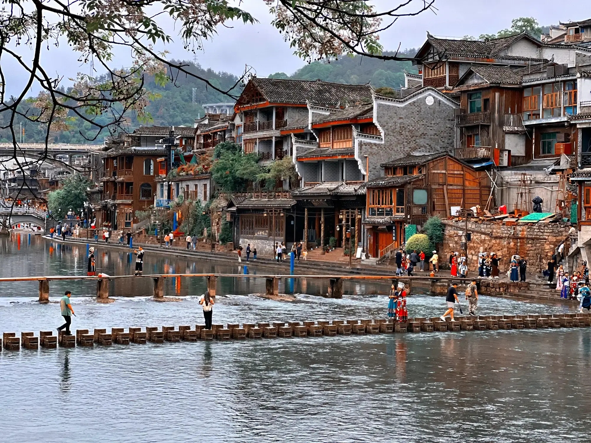 cau-da-nhay-thien-ha-kieu-ky-phuong-hoang-co-tran
