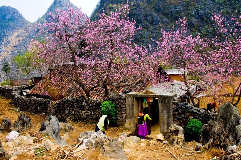 nhà của pao 4