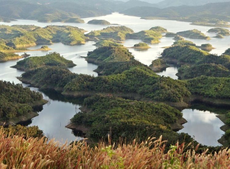 Top 10 Đặc Sản Đắk Nông Hấp Dẫn Nên Thử & Mua Làm Quà 2