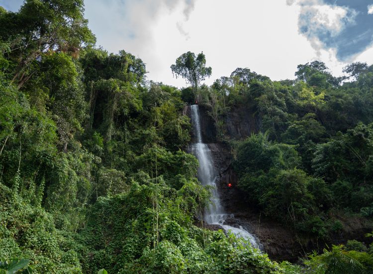 Đi Tà Đùng Tự Túc Hay Đi Tour Tiết Kiệm Hơn_ So Sánh Chi Phí 2