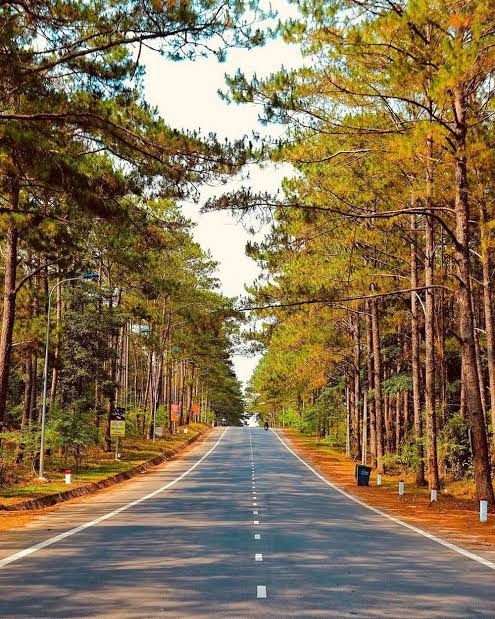 Top 7 Địa Điểm Khách Đi Tour Phải Check-in