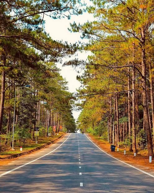 Top 7 Địa Điểm Khách Đi Tour Phải Check-in
