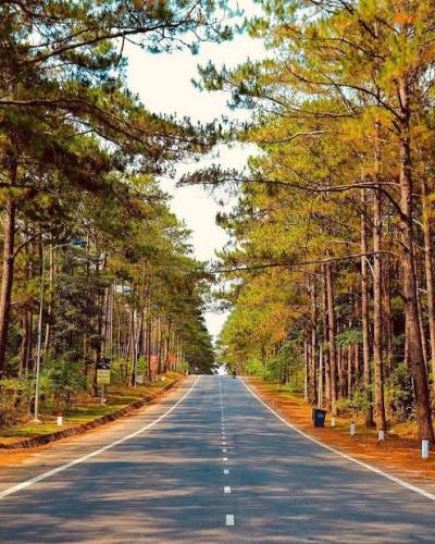 Top 7 Địa Điểm Khách Đi Tour Phải Check-in