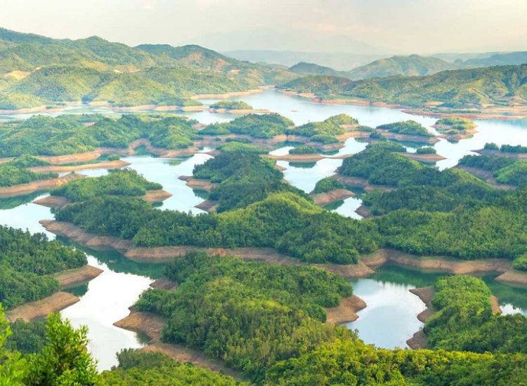 Tour Tà Đùng Từ TP.HCM Giá Mới Nhất 2026 2