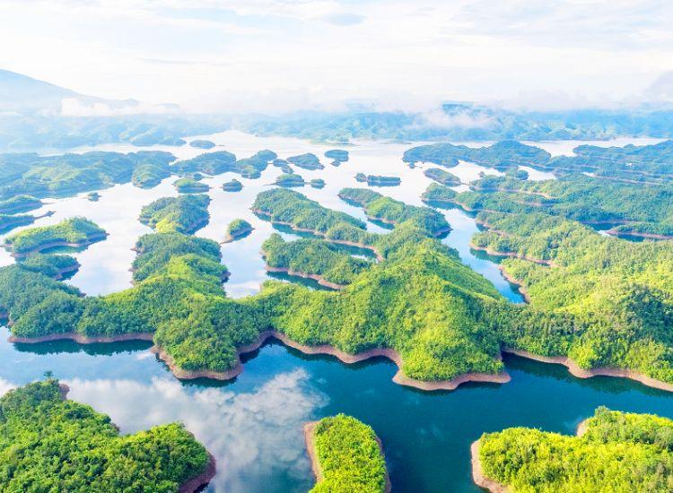 Tour Tà Đùng Từ TP.HCM Giá Mới Nhất 2026 1