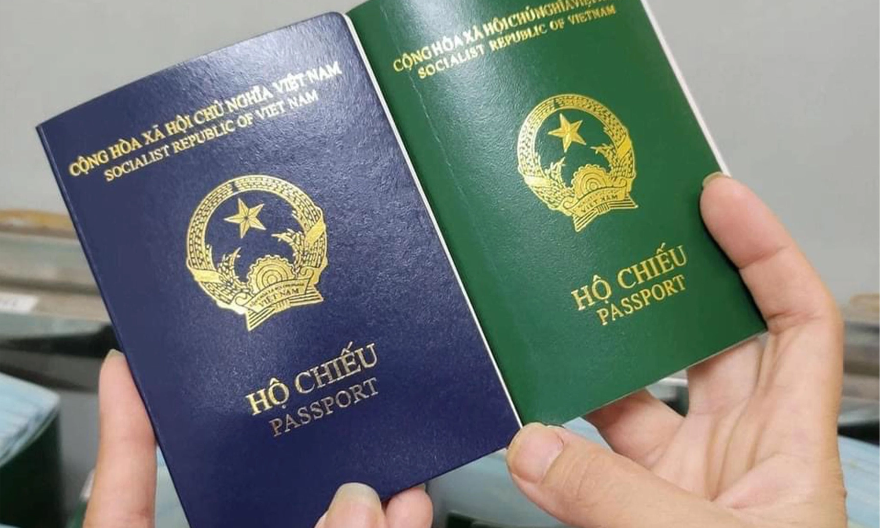 Túi đựng giấy tờ và hành lý du lịch