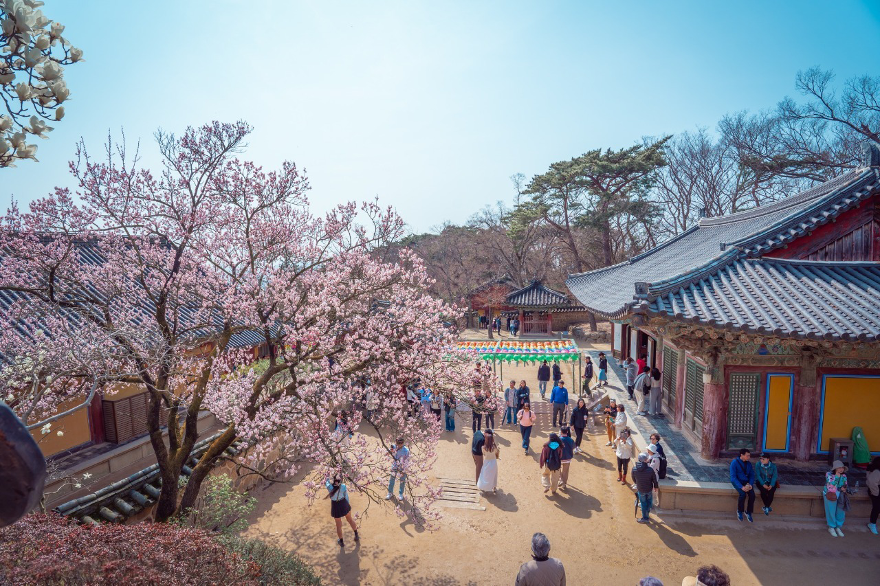 Chua-nghin-nam-Bulguksa-Gyeongju-HAIDANGTRAVEL