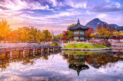 Kinh Nghiệm Đi Tour Hàn Quốc Lần Đầu: Cách Chuẩn Bị