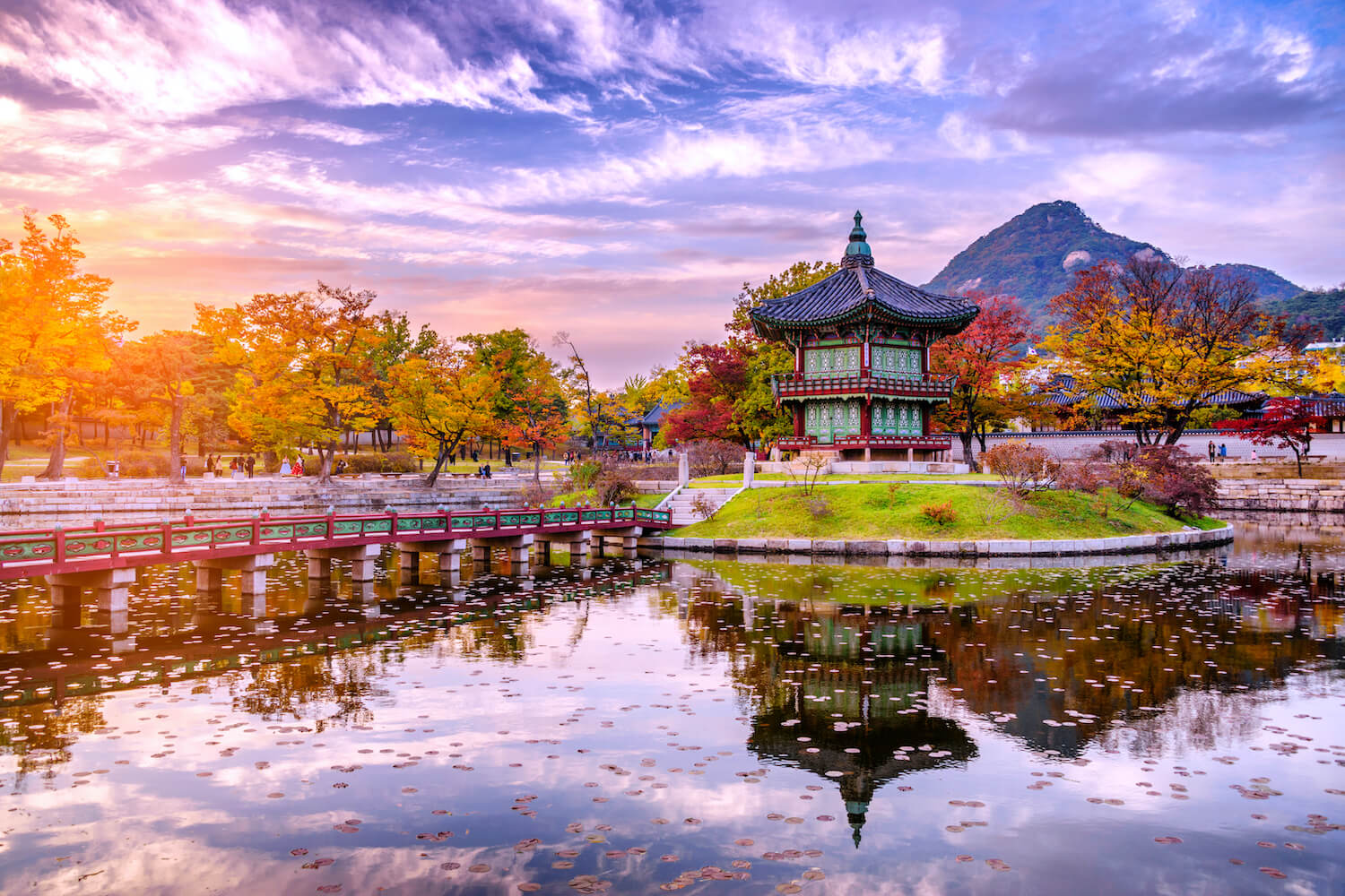 Kinh Nghiệm Đi Tour Hàn Quốc Lần Đầu: Cách Chuẩn Bị