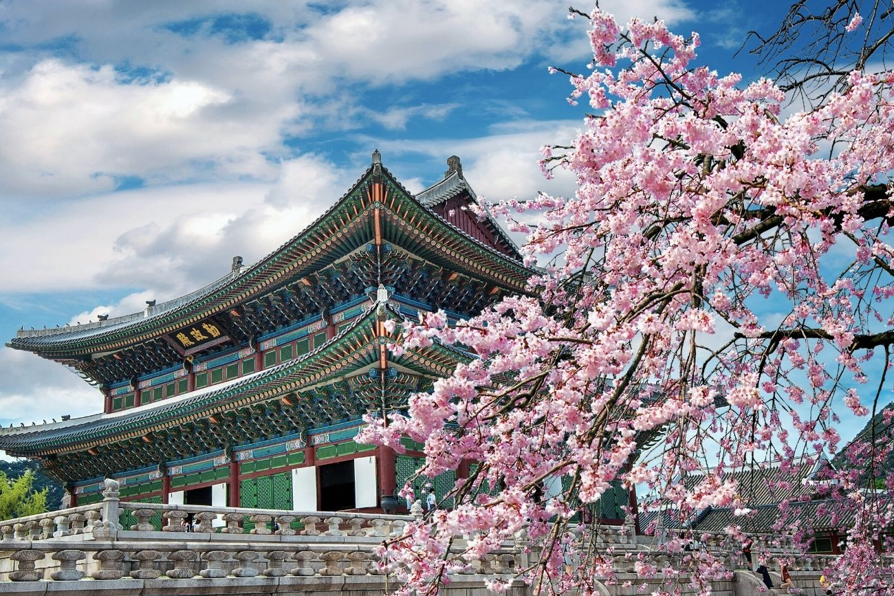 Hồ Sơ Visa Du Lịch Hàn Quốc: Hướng Dẫn Khi Đi Tour