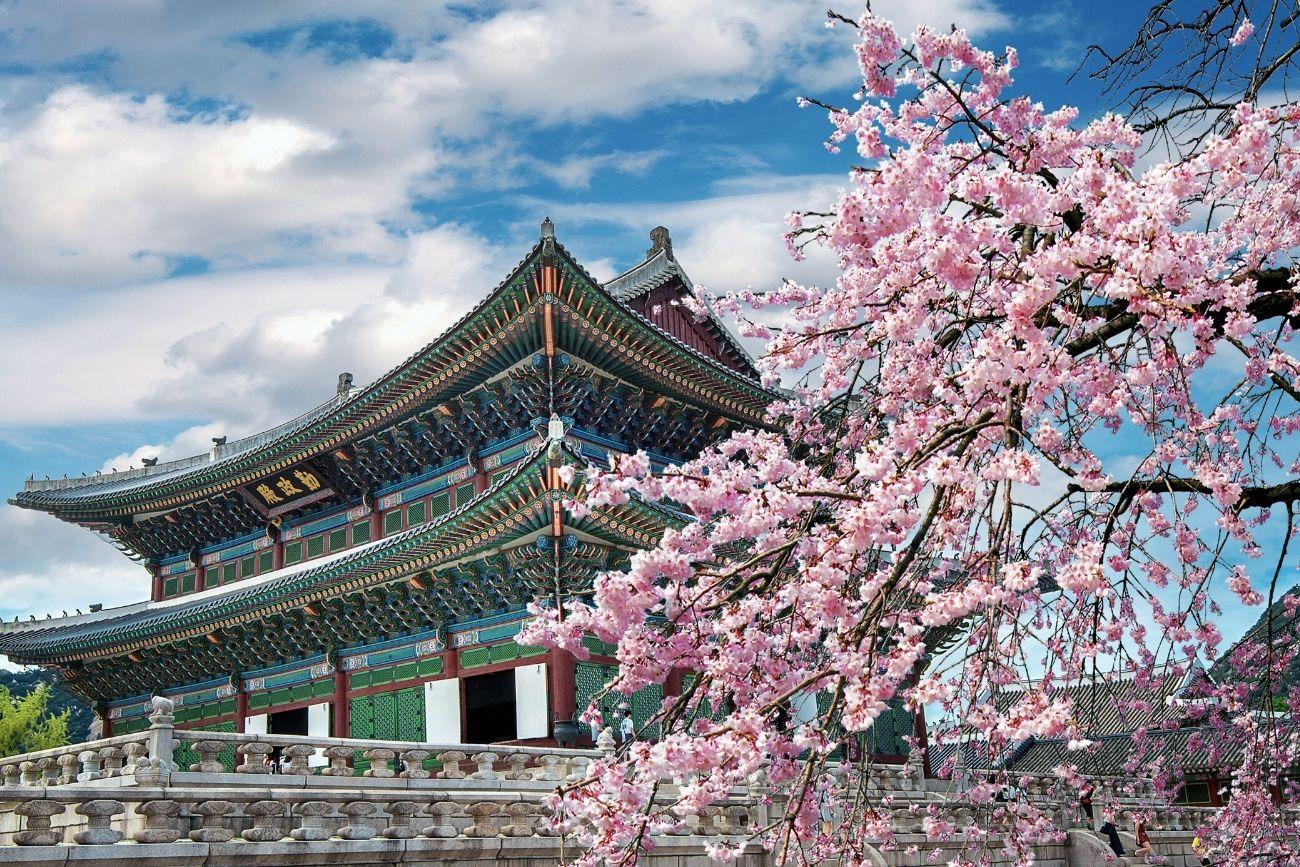 Hồ Sơ Visa Du Lịch Hàn Quốc: Hướng Dẫn Khi Đi Tour