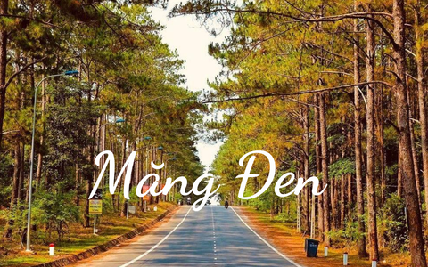 Đường thông chữ S Măng Đen: Hành trình chinh phục vẻ đẹp rừng núi