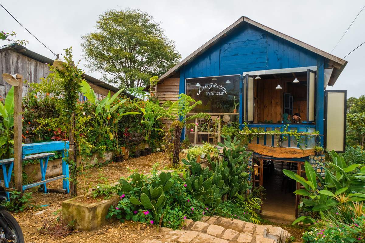 La Petite Măng Đen – View đồi thông thơ mộng La Petite Măng Đen – View đồi thông thơ mộng