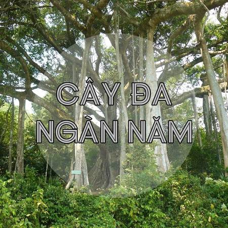 Ảnh: panoramio