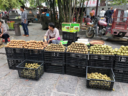 Kiwi, táo... là những loại trái cây được bán phổ biến ở Trung Quốc. Ảnh: Phương Anh.