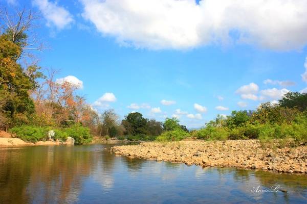 Với những du khách ưa khám phá những địa điểm hoang sơ hay lặn ngắm san hô thì Cù Lao Câu là một địa điểm lý tưởng. Đây là một đảo nhỏ, cách bờ khoảng 45 – 60 phút đi thuyền, một trong những điểm bảo vệ trứng rùa biển ở Việt Nam. Nếu muốn cắm trại ngủ qua đêm, các bạn nhớ xin phép trước. Thời điểm thích hợp nhất để thăm Tuy Phong chính là dịp đầu năm mới. Vào thời điểm này trong năm, biển êm, trong và xanh nhất, trời trong, nắng không quá gay gắt. Đến Tuy Phong vào dịp Tết, du khách còn có dịp tham gia các lễ hội như thi chạy leo núi Linh Sơn Tự (mùng 10 âm lịch) hay vượt đồi cát Bình Thạnh (rằm tháng Giêng).