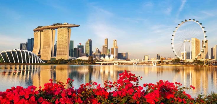 Sale tour Singapore – Malaysia