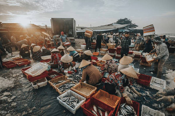 Thức dậy từ khá sớm, tôi có mặt tại cảng cá nhỏ thuộc thị trấn Long Hải, huyện Long Điền, tỉnh Bà Rịa - Vũng Tàu.