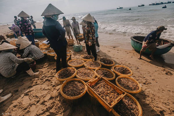Đa số hải sản thu về sẽ được chở ra chợ đầu mối. Bên cạnh đó, một số tiểu thương ra tận cảng cá để thu mua cho được mẻ cá tươi ngon nhất.