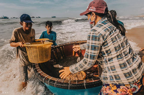 Cường độ công việc lúc nào cũng gấp gáp, vội vàng. Mọi thứ đều diễn ra chóng vánh trong vài tiếng buổi sáng với mục đích đưa hải sản ra chợ kịp thời.