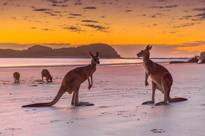 10 cảnh đẹp ở Queensland nhiều du khách không tin có thật