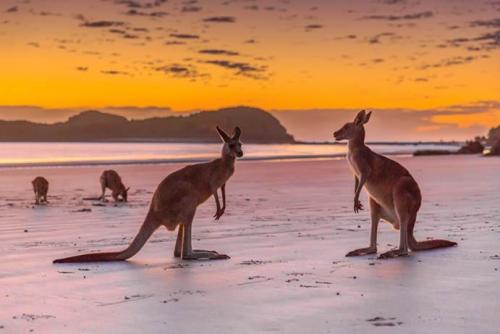 10 cảnh đẹp ở Queensland nhiều du khách không tin có thật