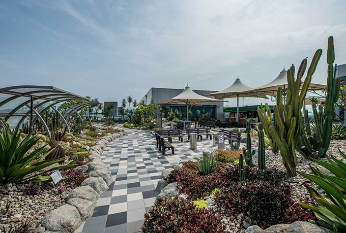 Sự yêu mến của khách hàng không chỉ đến từ sự bình chọn. Nhiều người ví rằng kỳ nghỉ của họ như được nối dài khi tới đây bởi lẽ giống như tới công viên Disney vậy. Bạn sẽ khó tin khu vườn hướng dương rực rỡ ngập tràn lối đi này nằm trên sân thượng của phi trường, nơi bạn có những kiểu ảnh sống ảo ngay phía dưới những chiếc máy bay đang cất hay hạ cánh. Sự yêu mến của khách hàng không chỉ đến từ sự bình chọn. Nhiều người ví rằng kỳ nghỉ của họ như được nối dài khi tới đây bởi lẽ giống như tới công viên Disney vậy. Bạn sẽ khó tin khu vườn hướng dương rực rỡ ngập tràn lối đi này nằm trên sân thượng của phi trường, nơi bạn có những kiểu ảnh sống ảo ngay phía dưới những chiếc máy bay đang cất hay hạ cánh.